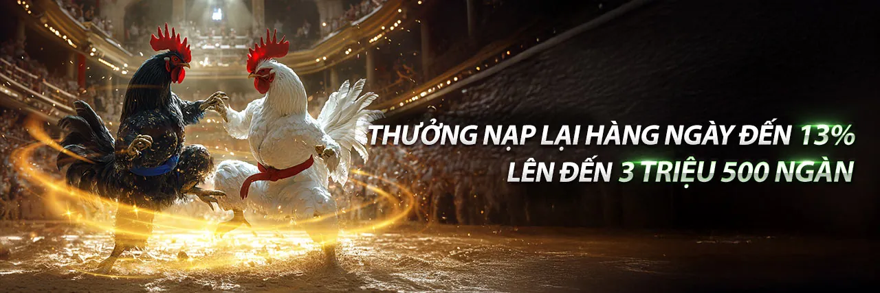 Đá Gà Trực Tuyến rio66