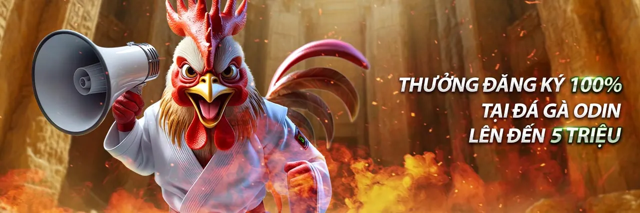 Hướng dẫn từng bước đăng ký tài khoản Bong88