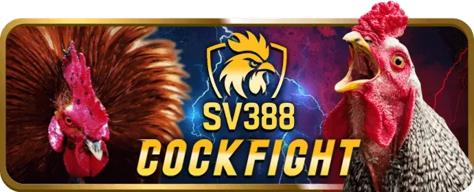 Game Nổ Hũ Video hiện đại 5 cuộn tại Rio66