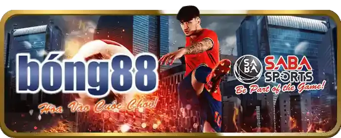 Hoàn trả cược thua rio66