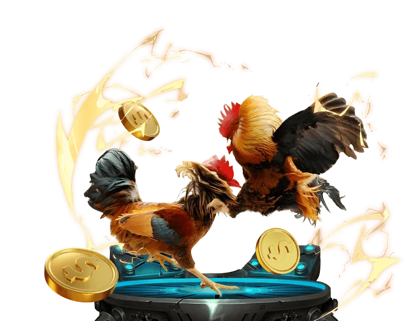 Lợi ích khi tham gia cá cược đá gà tại Bong88